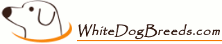 WhiteDogBreeds.com